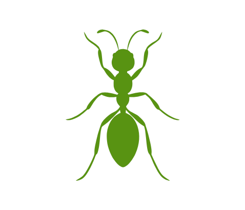 Anver Pest Control A silhouette of an Ant.
