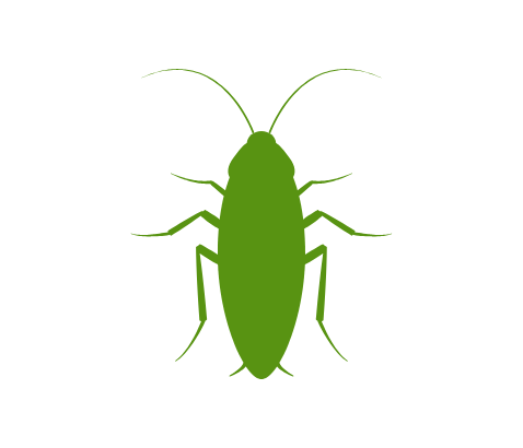 Anver Pest Control A silhouette of an Roach.