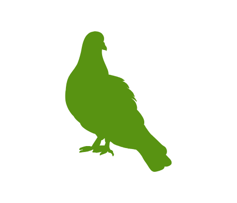 Anver Pest Control A silhouette of an Pigeon.