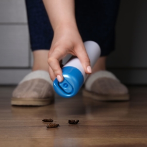 The Hidden Dangers of DIY Pest Control A picture of a Pest Control.