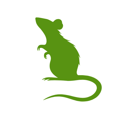 Anver Pest Control A silhouette of an Rat.
