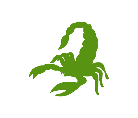 Anver Pest Control A silhouette of an Scorpion.