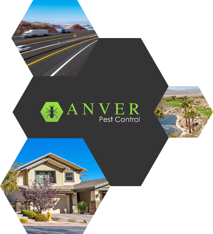 Anver Pest Control Home Page An Anver Pest Control poster.