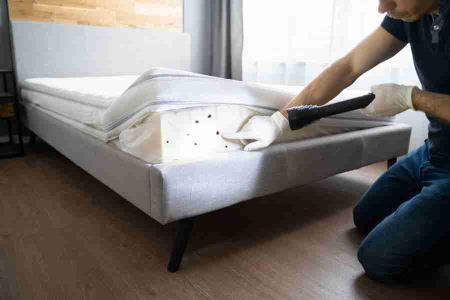 get a bed bug home inspection