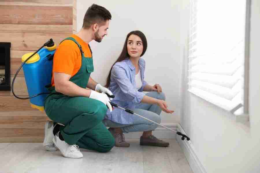 Why DIY Pest Control Might Be a Bigger Risk Than You Think