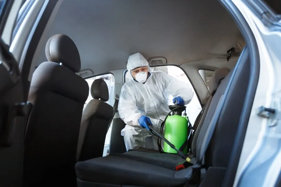 bed bug car how long